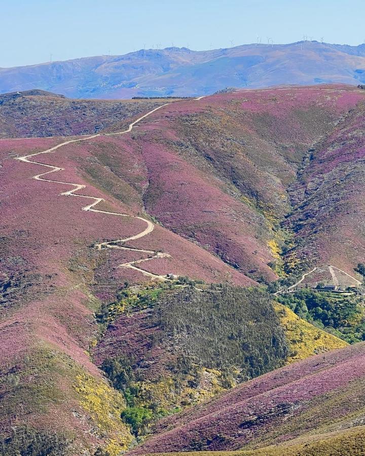Apartmán O Refugio Do Mineiro Arouca Exteriér fotografie