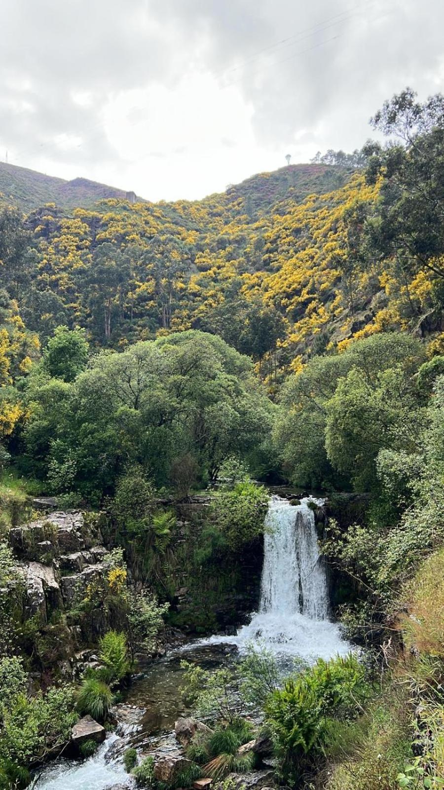 Apartmán O Refugio Do Mineiro Arouca Exteriér fotografie
